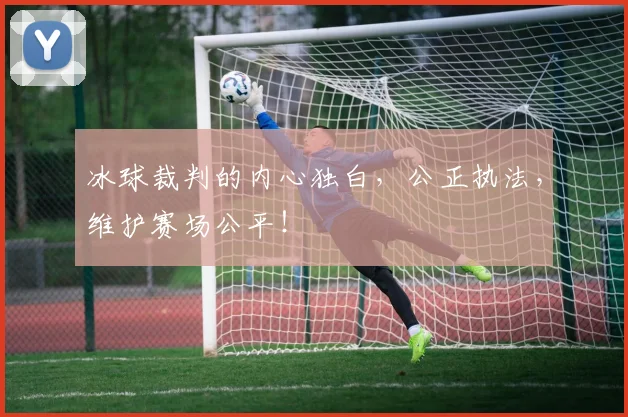 冰球裁判的内心独白,公正执法,维护赛场公平!