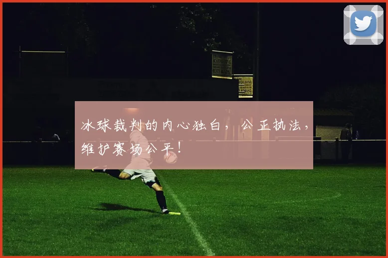 冰球裁判的内心独白，公正执法，维护赛场公平！
